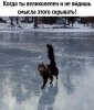 IMG_1795.jpeg