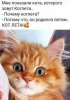 IMG_4319.jpeg