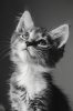 IMG_5286.jpeg