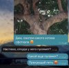 IMG_2158.jpeg