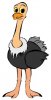 upload_2025-6-4_18-31-55.jpeg