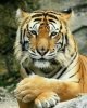 IMG_20250728_224755.jpg