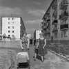 Гомель, 1963 год.jpg