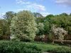 ^20260421_192417 kl.jpg
