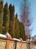 2018-02-24 20.52.37.jpg