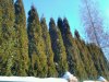 2018-02-24 20.53.39.jpg