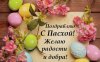 IMG-20180408-WA0002.jpg