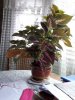 20180418_134208-864x1152.jpg