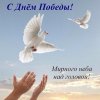 IMG-20180509-WA0002.jpg