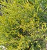 IMG_20180517_205421.jpg