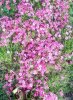 IMG_20180517_205024.jpg