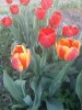 IMG-20180428-WA0001.jpg