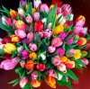 IMG-20180308-WA0005.jpg