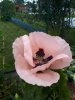 20180627_113206-864x1152.jpg