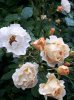 20180704_193229-1382x1843.jpg