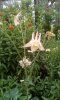 IMG_20180628_150434.jpg