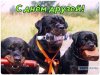 IMG-20170609-WA0000.jpg