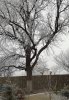 20181113_130206_resized.jpg