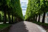 DSC_8637.jpg