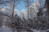 DSC_2166.jpg