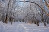 DSC_2191.jpg