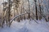 DSC_2213.jpg
