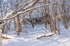 DSC_2225.jpg
