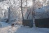DSC_2236.jpg