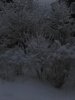 IMG_20181219_081638.jpg