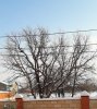 2019-01-22 15.13.49.jpg