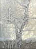20190123_144648.jpg