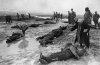 VictoryDay13.jpg