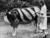 25-rare-historical-photos-artnaz-com-25.jpg