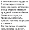 колоски.png