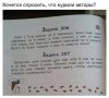 11408392.jpg