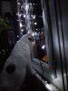 IMG_20171218_225023.jpg