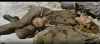 upload_2024-4-29_8-45-27.png