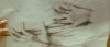Screenshot_20240426_202748_Chrome.jpg