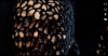 upload_2024-4-30_20-16-54.png