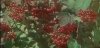 Screenshot_20240430_222712_Chrome.jpg