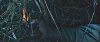 Screenshot_20240501_123256_Chrome.jpg