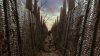 IMG_0963.jpeg
