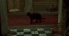 Screenshot_20240430_214901_Chrome.jpg