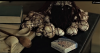 upload_2024-5-8_11-40-41.png