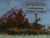 IMG_6253.jpeg
