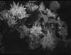IMG_6410.jpeg