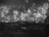 IMG_6429.jpeg