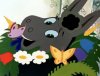 IMG_6416.jpeg