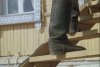 IMG_6448.jpeg