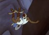 IMG_6468.jpeg